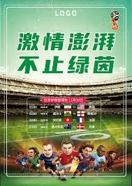意甲球员在2026世界杯的表现预测与分析